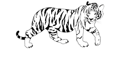 Dhuma To GO
